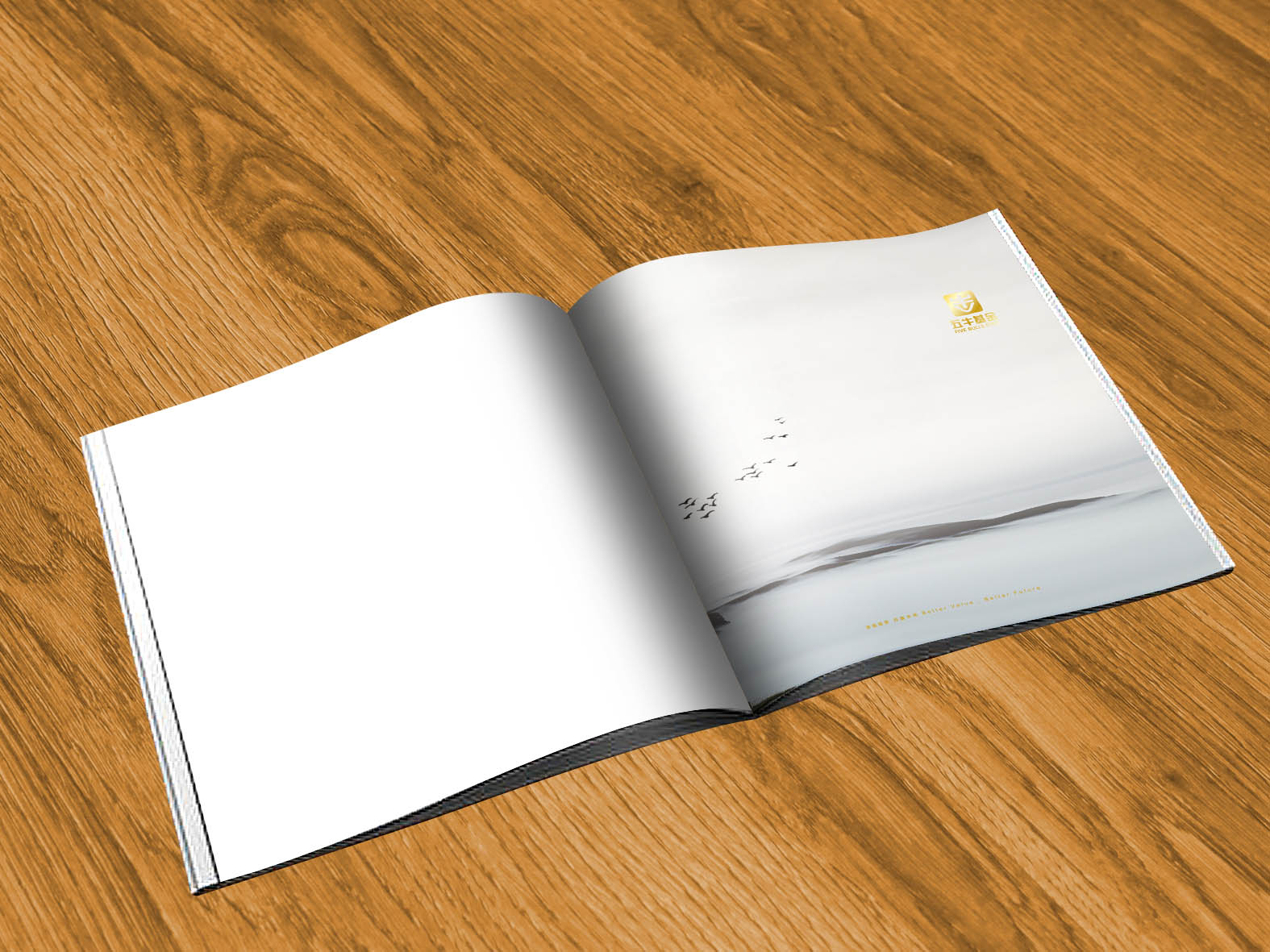 畫冊印刷用多少克的紙_畫冊印刷印刷_印宣傳畫報用多少克紙